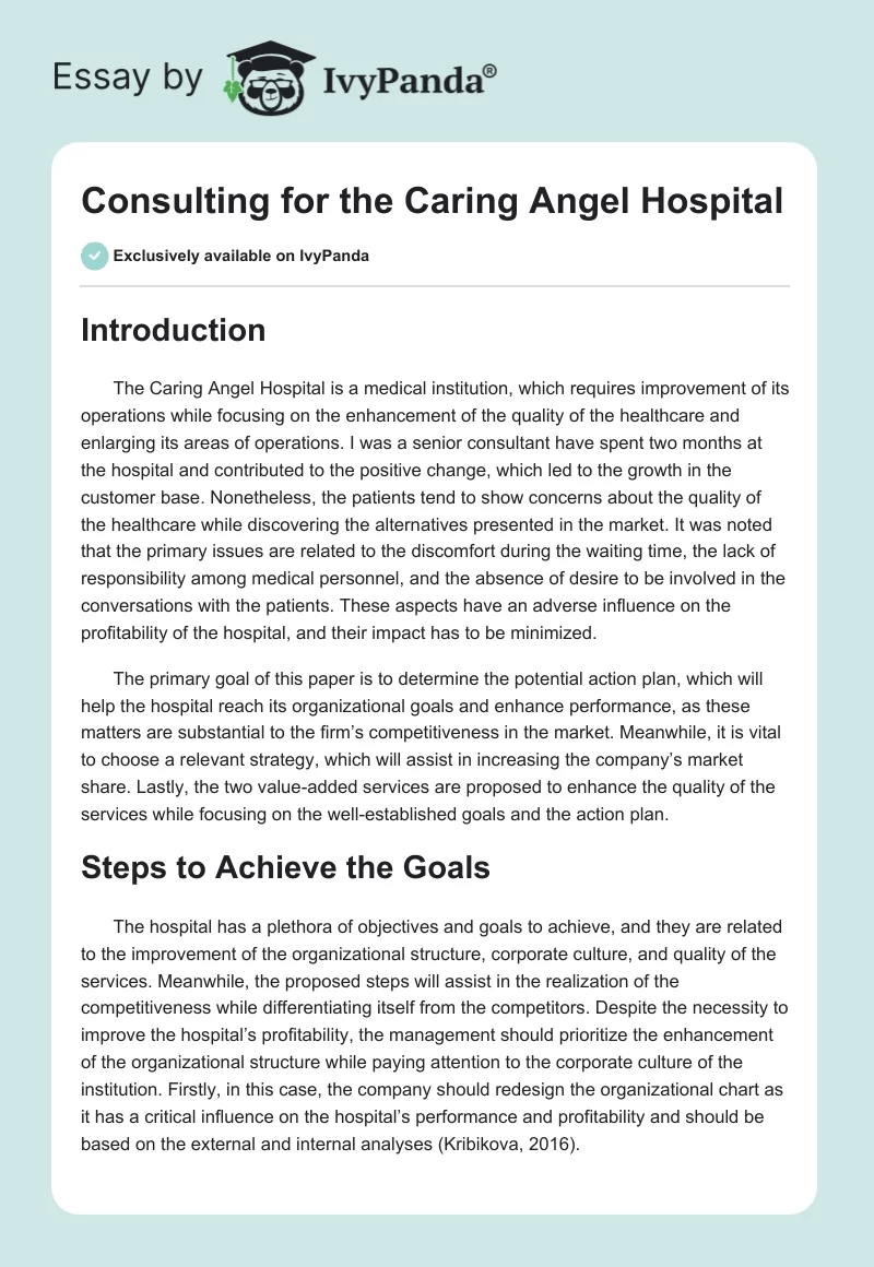 Consulting for the Caring Angel Hospital. Page 1