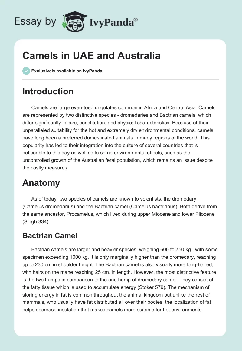 Camels in UAE and Australia. Page 1
