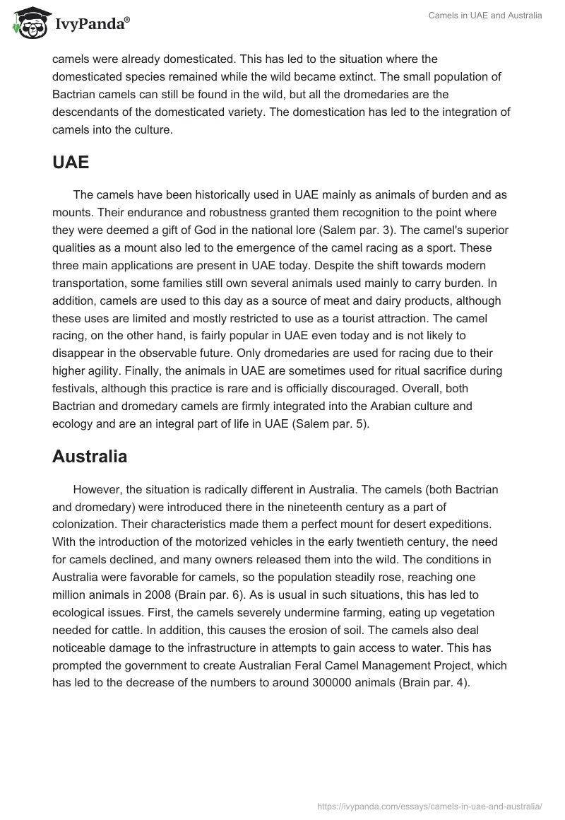 Camels in UAE and Australia. Page 3