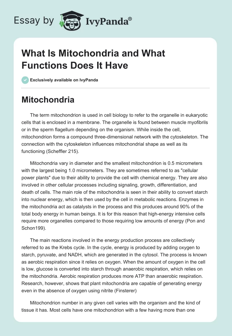 What Is Mitochondria and What Functions Does It Have. Page 1