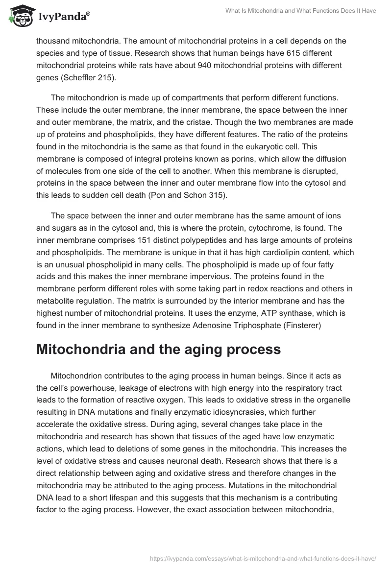 What Is Mitochondria and What Functions Does It Have. Page 2