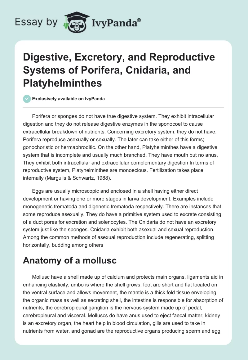 Digestive, Excretory, and Reproductive Systems of Porifera, Cnidaria, and Platyhelminthes. Page 1