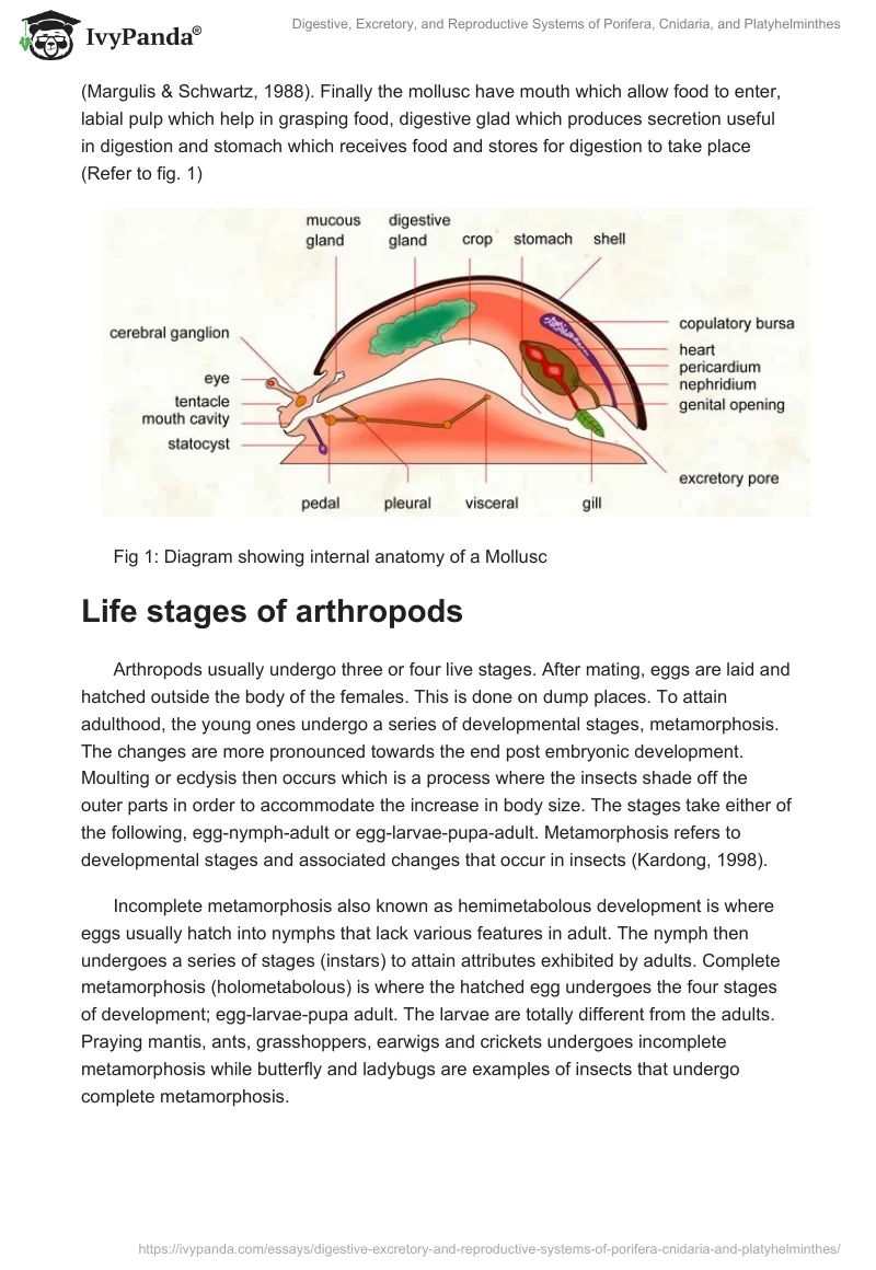 Digestive, Excretory, and Reproductive Systems of Porifera, Cnidaria, and Platyhelminthes. Page 2