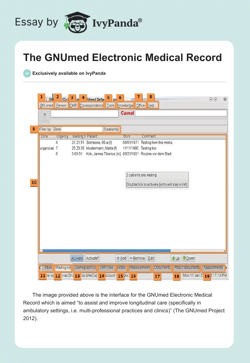 The GNUmed Electronic Medical Record. Page 1