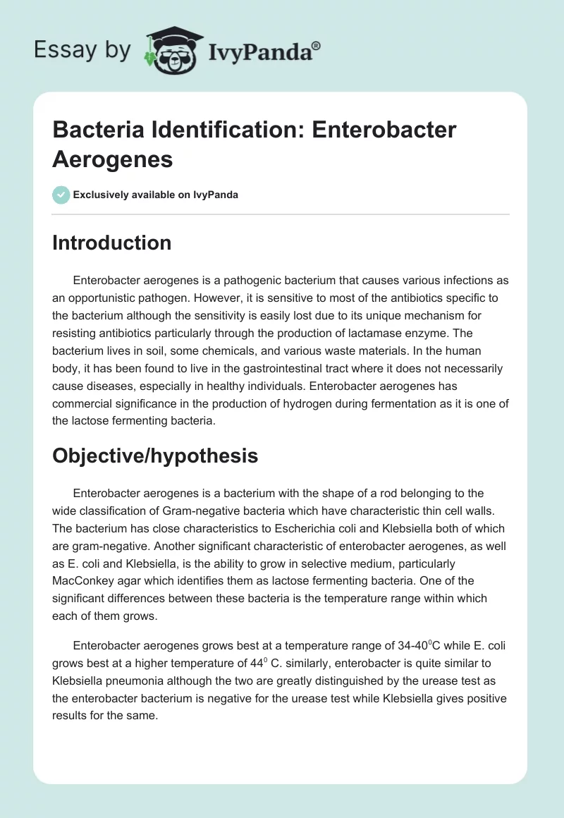 Bacteria Identification: Enterobacter Aerogenes. Page 1