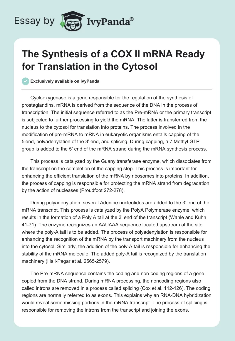 The Synthesis of a COX II mRNA Ready for Translation in the Cytosol. Page 1