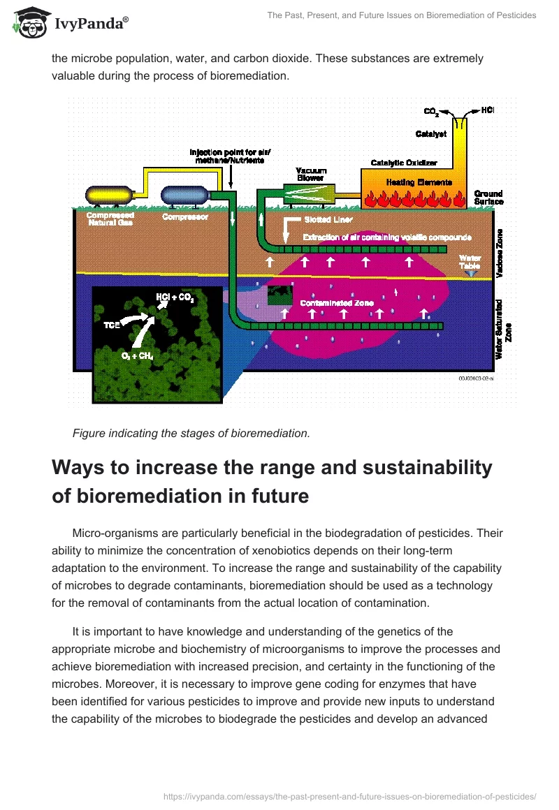 The Past, Present, and Future Issues on Bioremediation of Pesticides. Page 5
