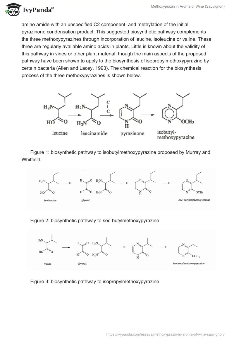 Methoxyprazin in Aroma of Wine (Sauvignon). Page 3