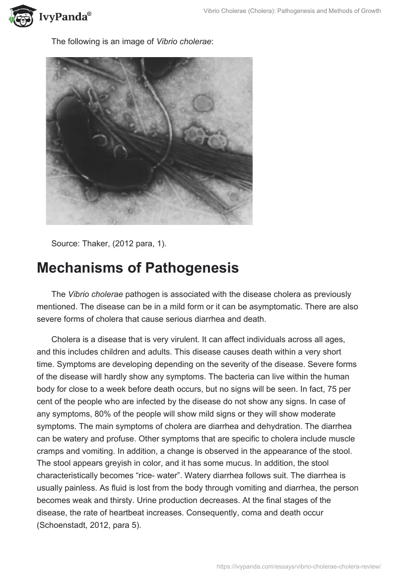Vibrio Cholerae (Cholera): Pathogenesis and Methods of Growth. Page 2