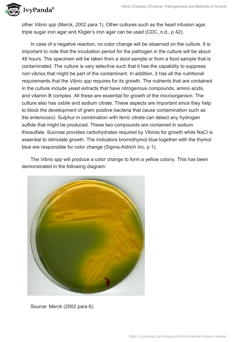 Vibrio Cholerae (Cholera): Pathogenesis and Methods of Growth. Page 4