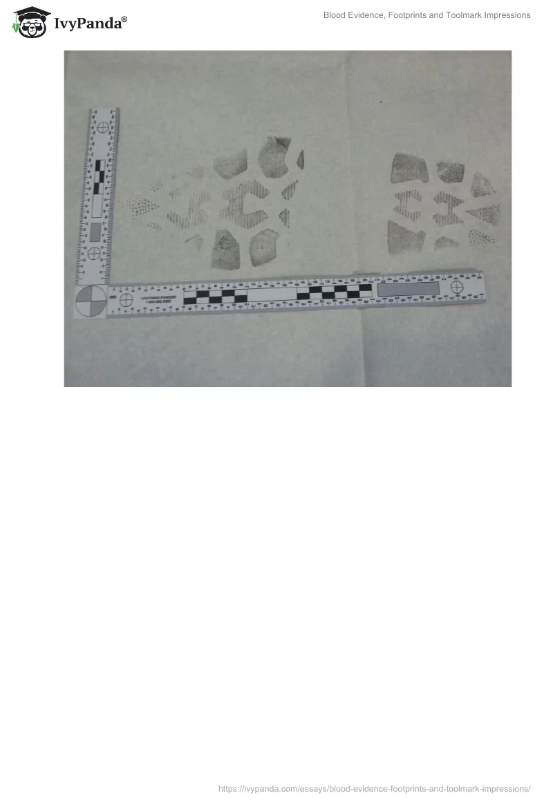 Blood Evidence, Footprints and Toolmark Impressions. Page 4