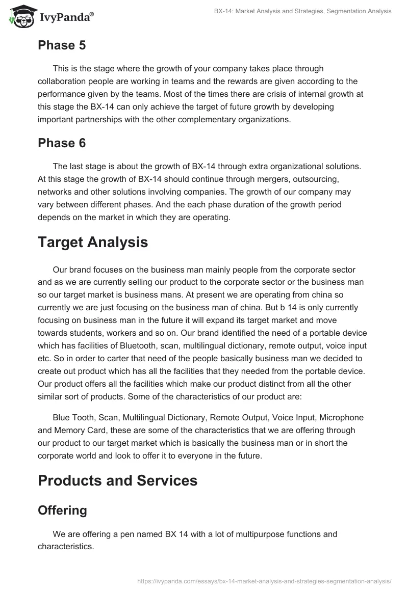 BX-14: Market Analysis and Strategies, Segmentation Analysis. Page 3