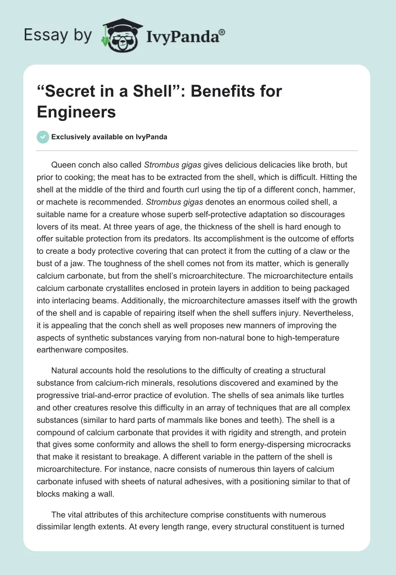 “Secret in a Shell”: Benefits for Engineers. Page 1