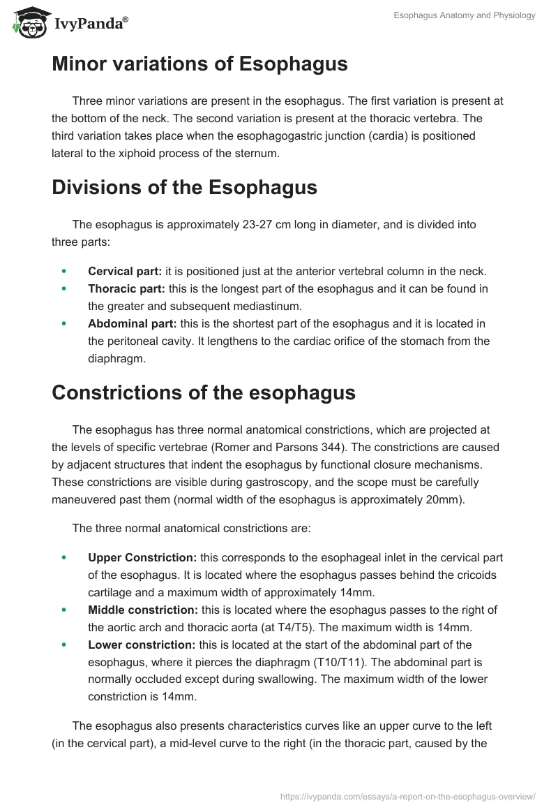 Esophagus Anatomy and Physiology. Page 3