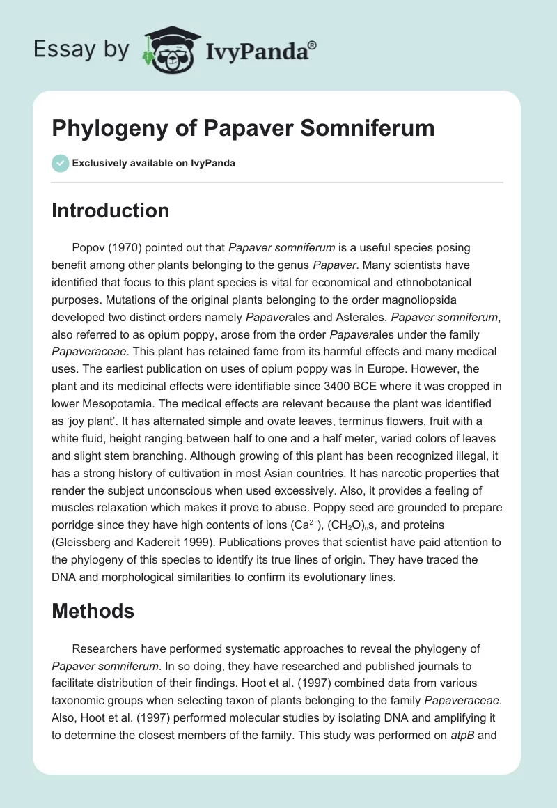 Phylogeny of Papaver Somniferum. Page 1