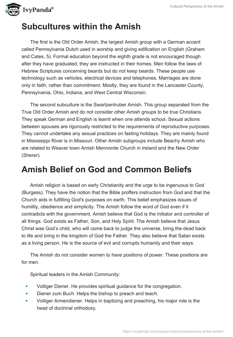 Cultural Perspective of the Amish. Page 2