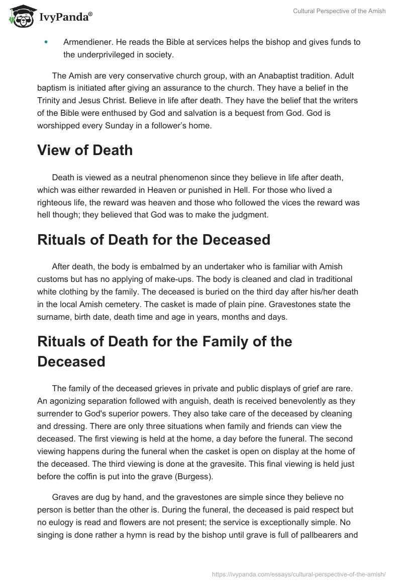 Cultural Perspective of the Amish. Page 3