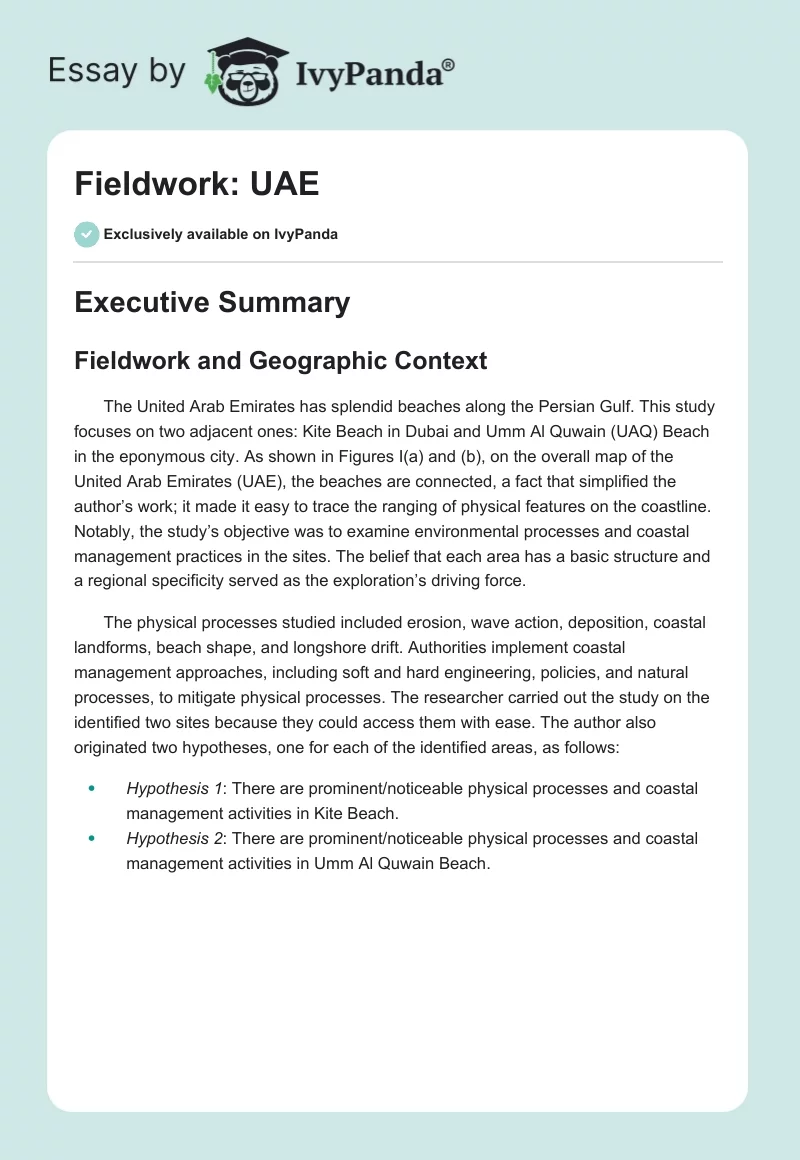 Fieldwork: UAE. Page 1