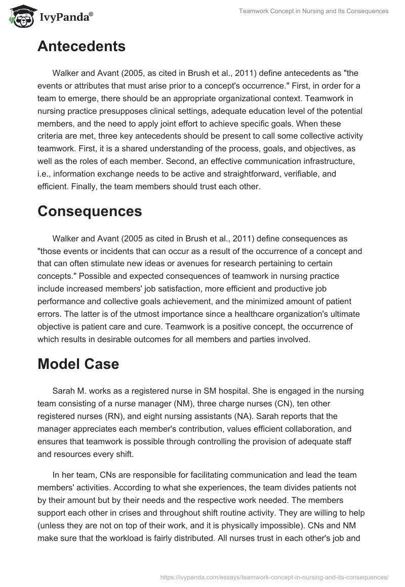 Teamwork Concept in Nursing and Its Consequences. Page 3