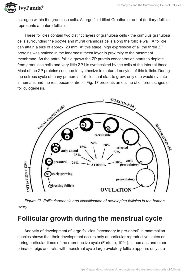 The Oocytes and the Surrounding Cells of Follicles. Page 4