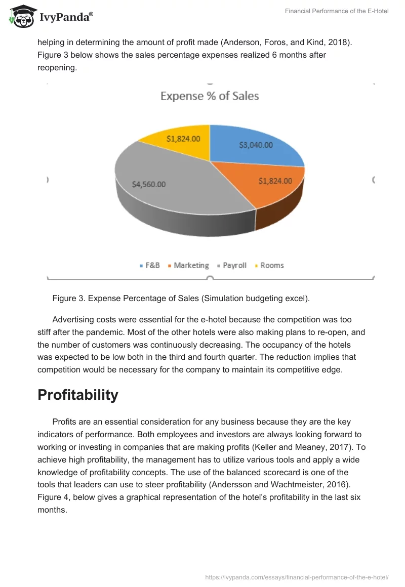 Financial Performance of the E-Hotel. Page 3