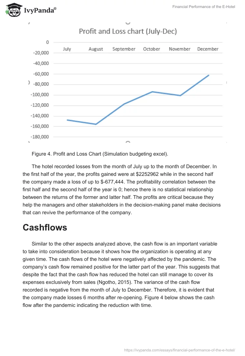 Financial Performance of the E-Hotel. Page 4