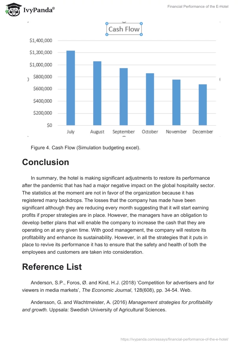Financial Performance of the E-Hotel. Page 5