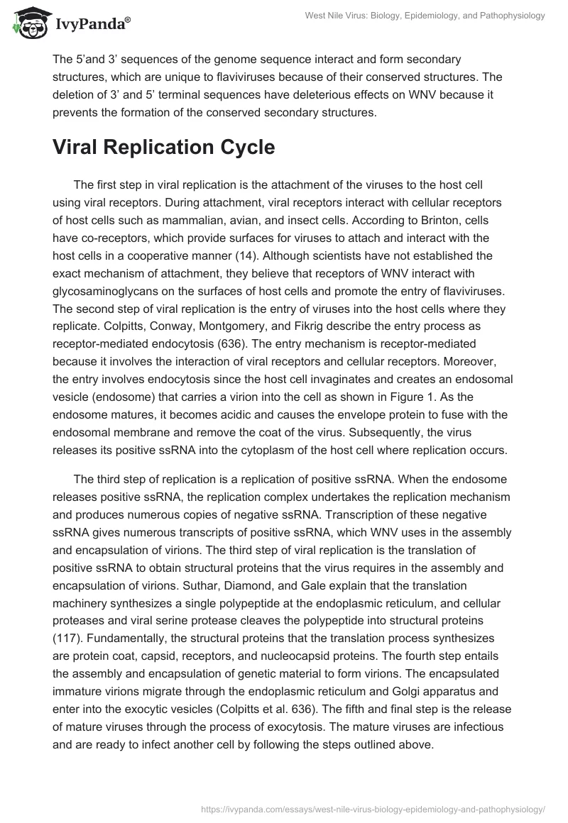 West Nile Virus: Biology, Epidemiology, and Pathophysiology. Page 3