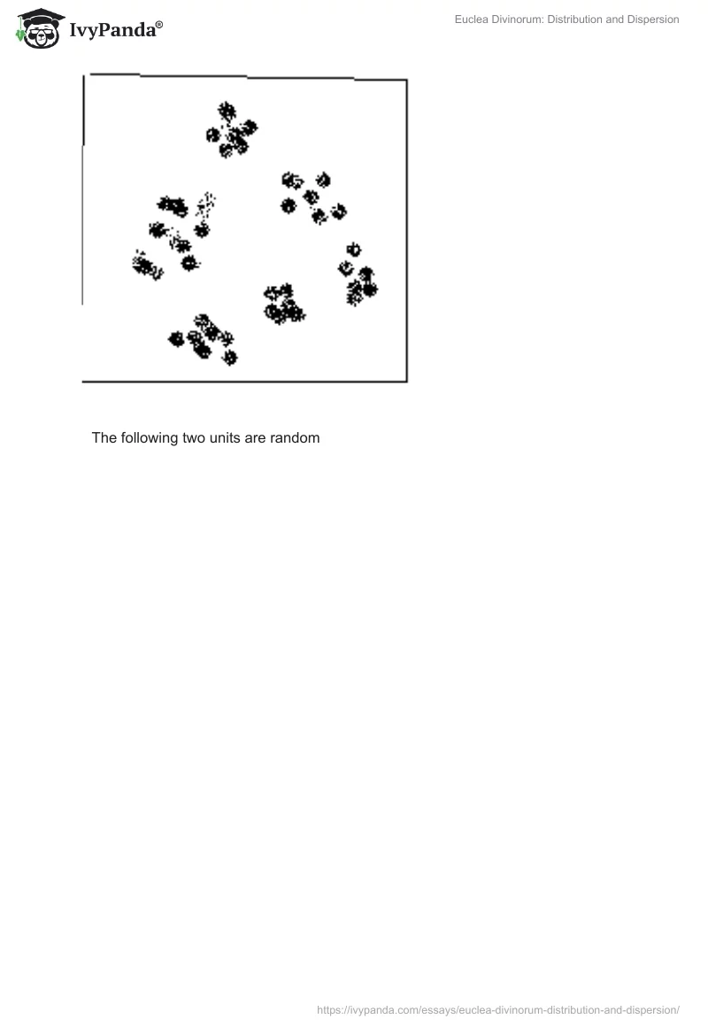 Euclea Divinorum: Distribution and Dispersion. Page 3