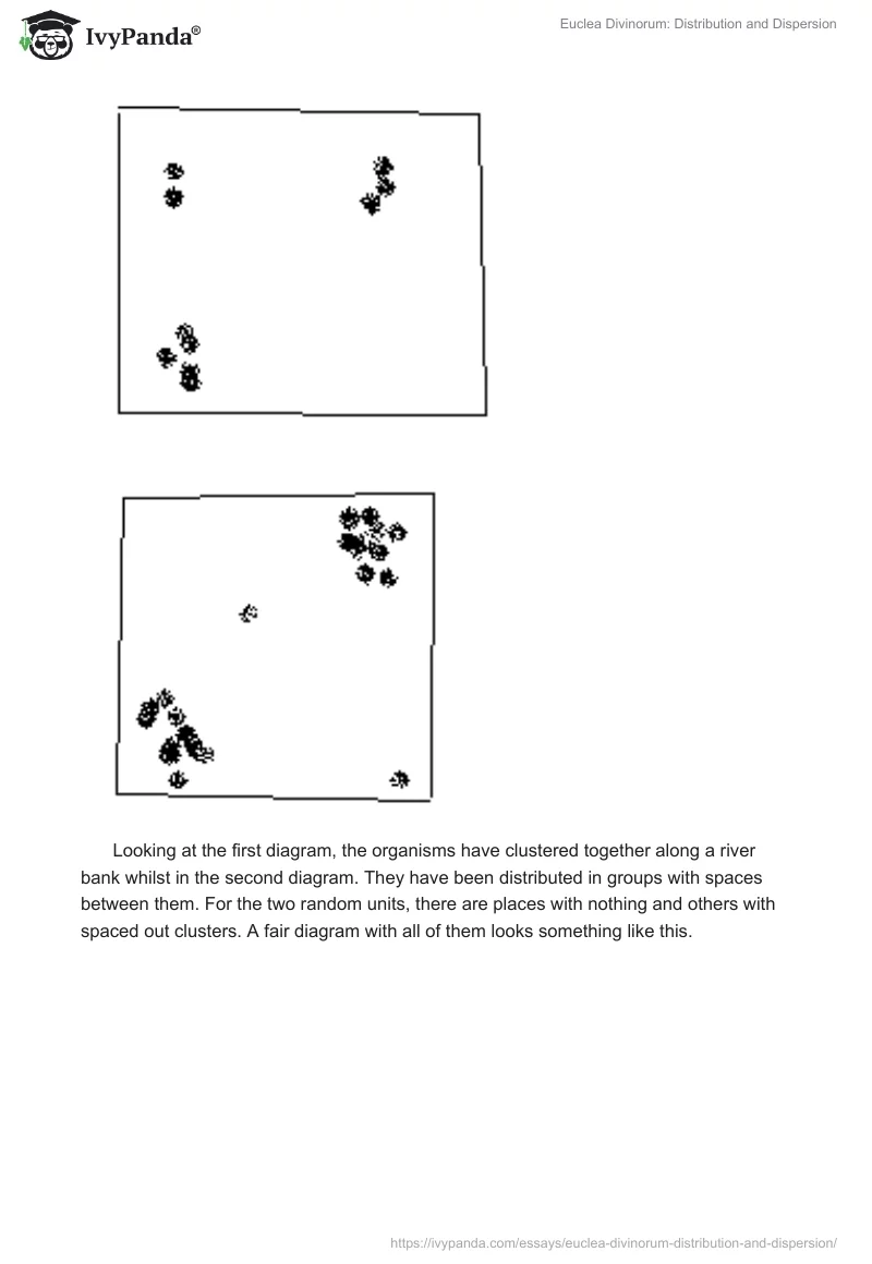 Euclea Divinorum: Distribution and Dispersion. Page 4