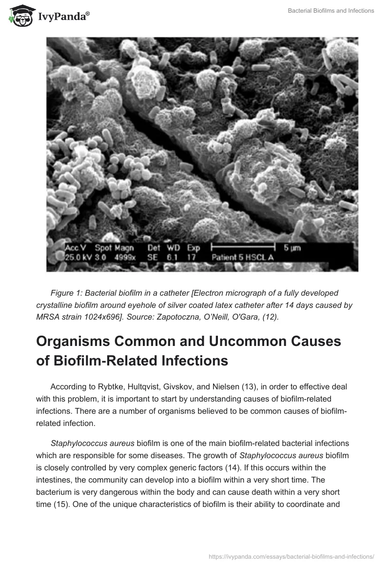 Bacterial Biofilms and Infections. Page 3