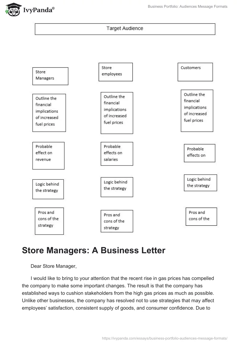 Business Portfolio: Audiences Message Formats. Page 2