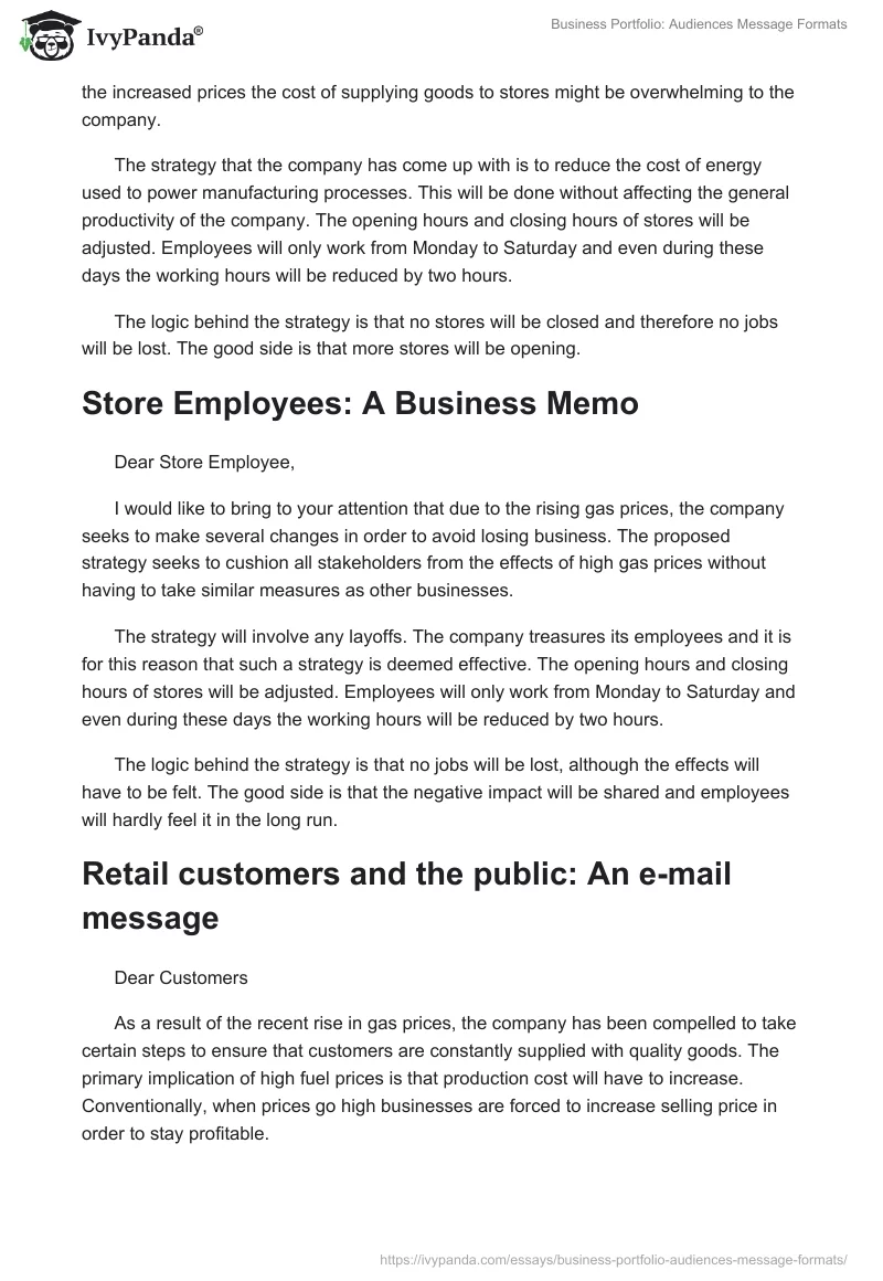 Business Portfolio: Audiences Message Formats. Page 3