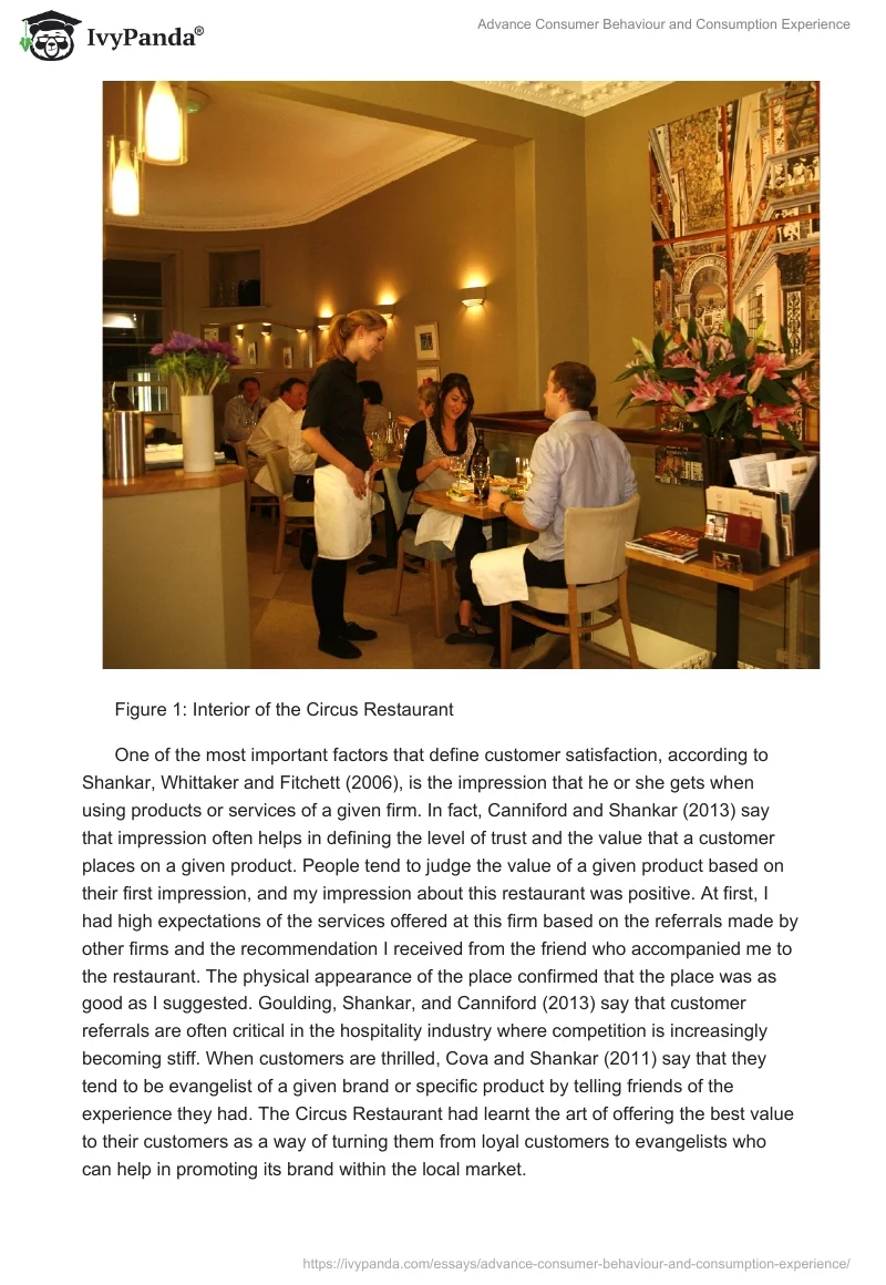 Advance Consumer Behaviour and Consumption Experience. Page 2