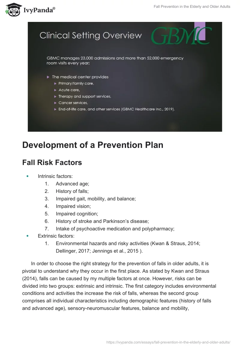 Fall Prevention in the Elderly and Older Adults. Page 3