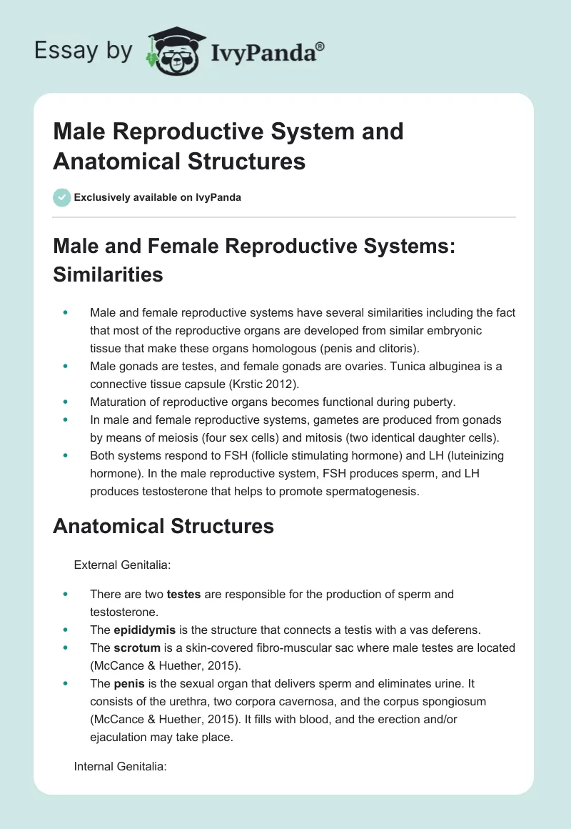 Male Reproductive System and Anatomical Structures. Page 1