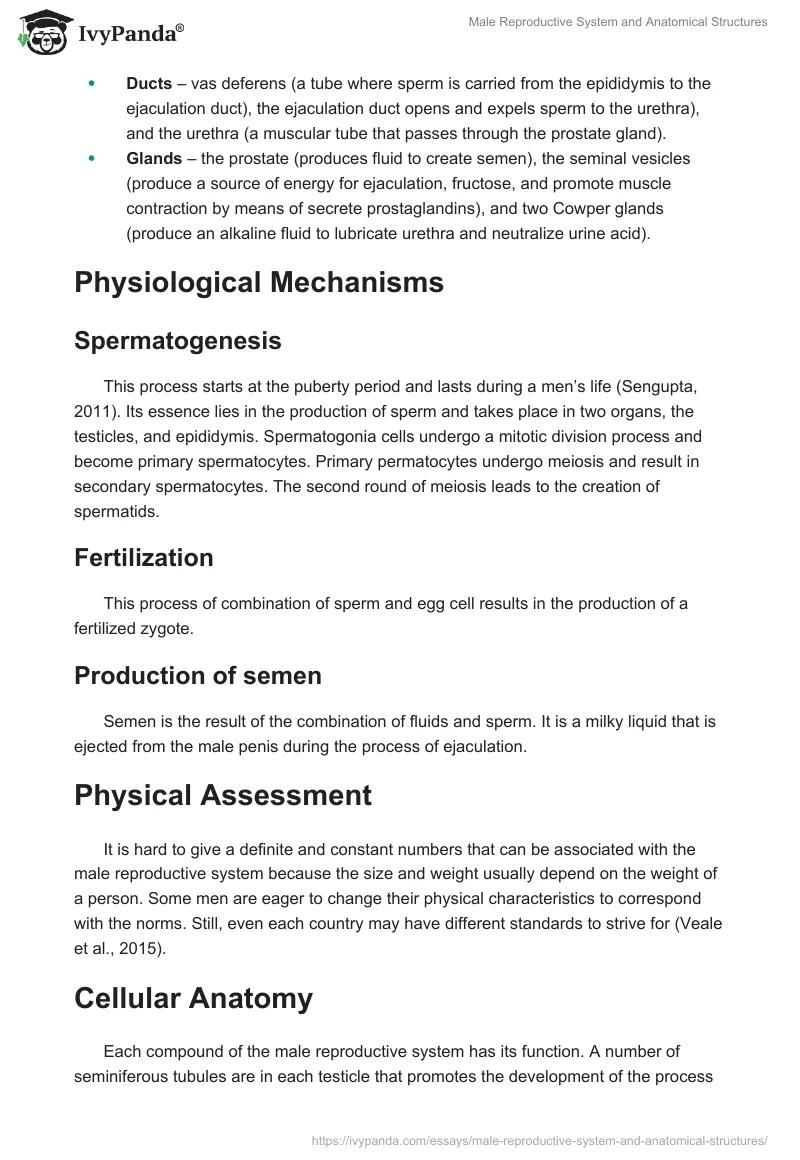 Male Reproductive System and Anatomical Structures. Page 2