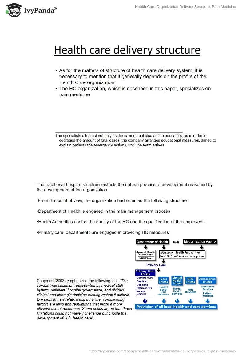 Health Care Organization Delivery Structure: Pain Medicine. Page 2