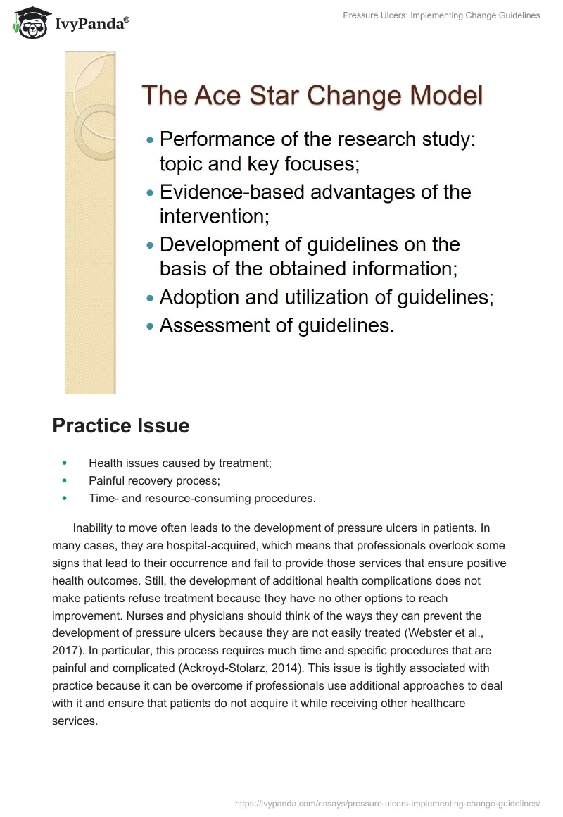 Pressure Ulcers: Implementing Change Guidelines. Page 3