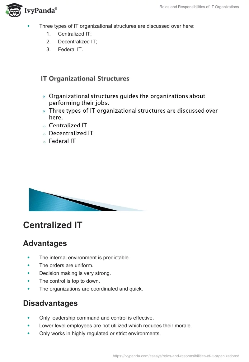 Roles and Responsibilities of IT Organizations. Page 2