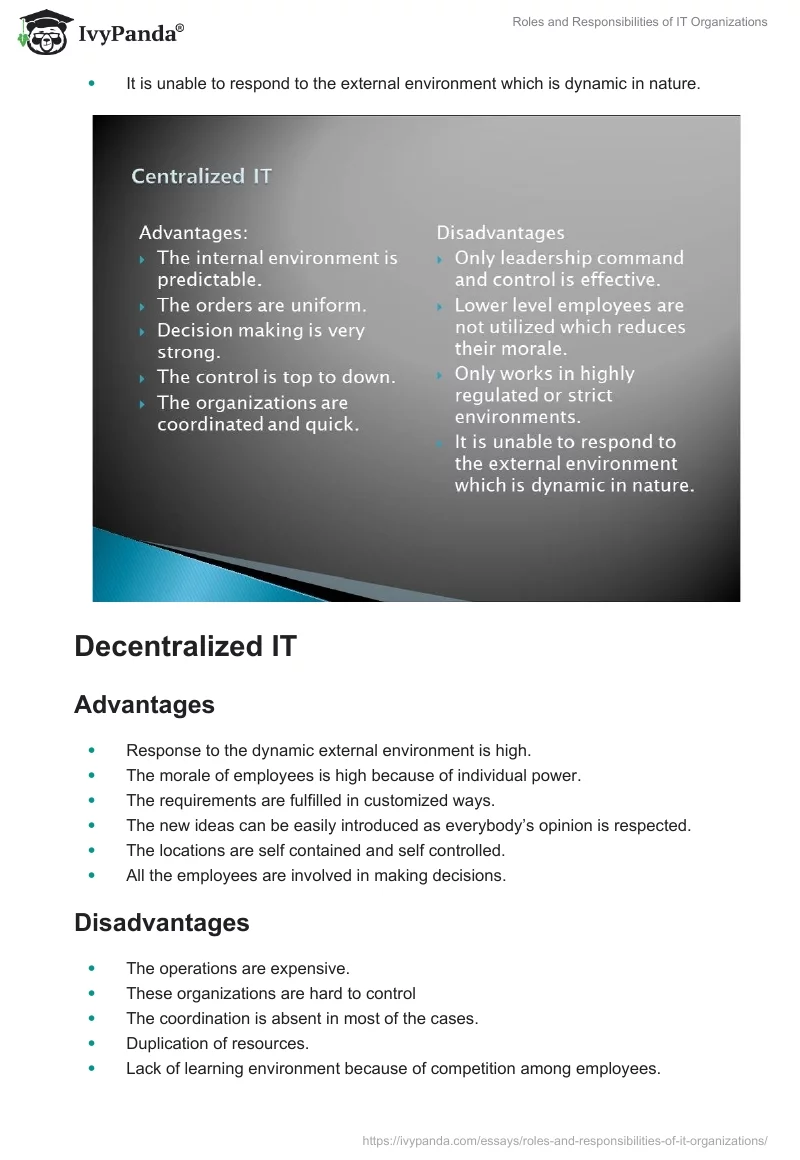 Roles and Responsibilities of IT Organizations. Page 3