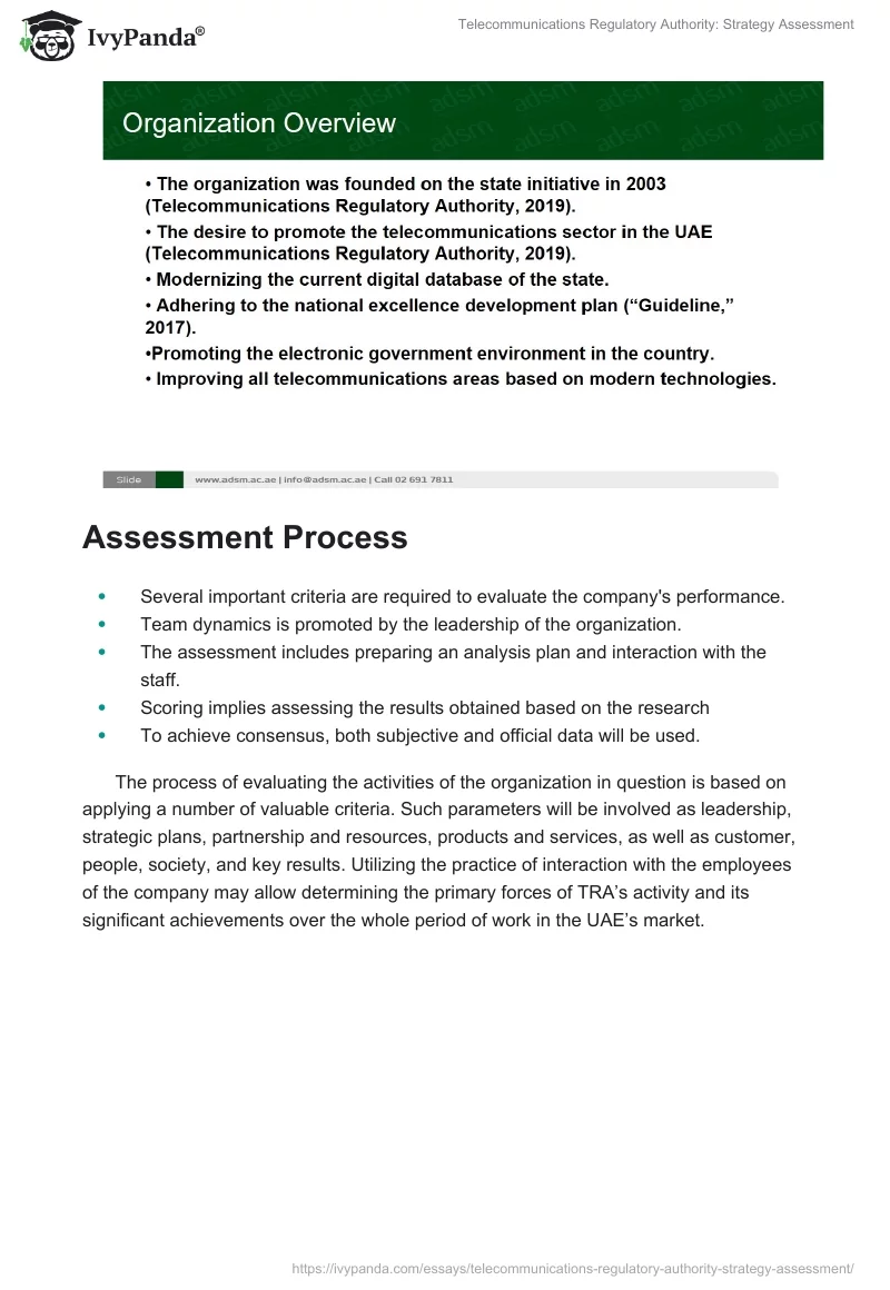 Telecommunications Regulatory Authority: Strategy Assessment. Page 2
