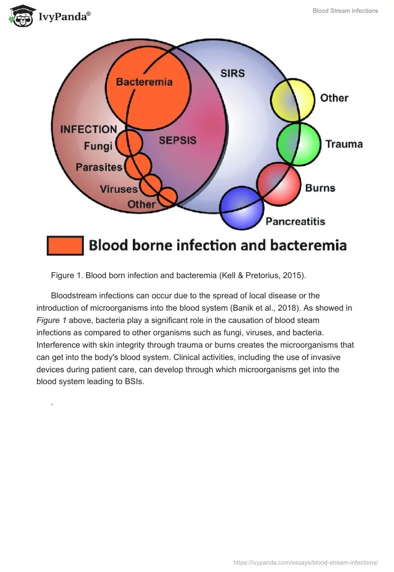 Blood Stream Infections. Page 2