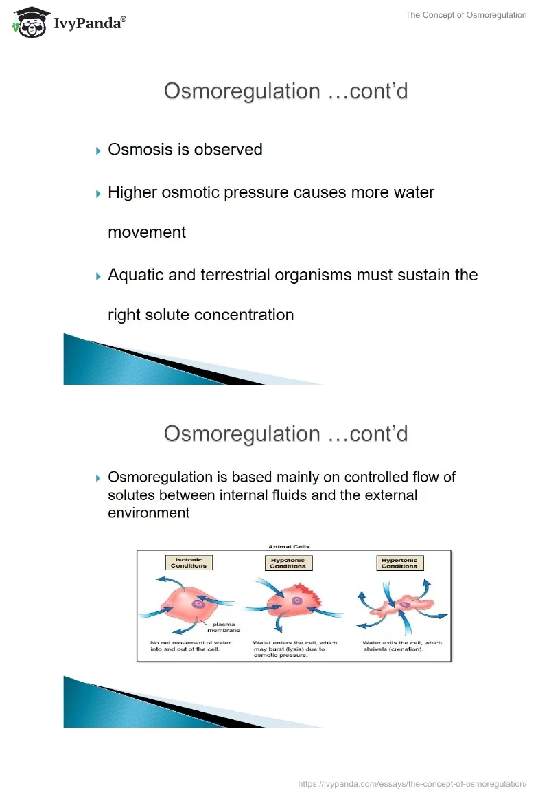 The Concept of Osmoregulation. Page 5