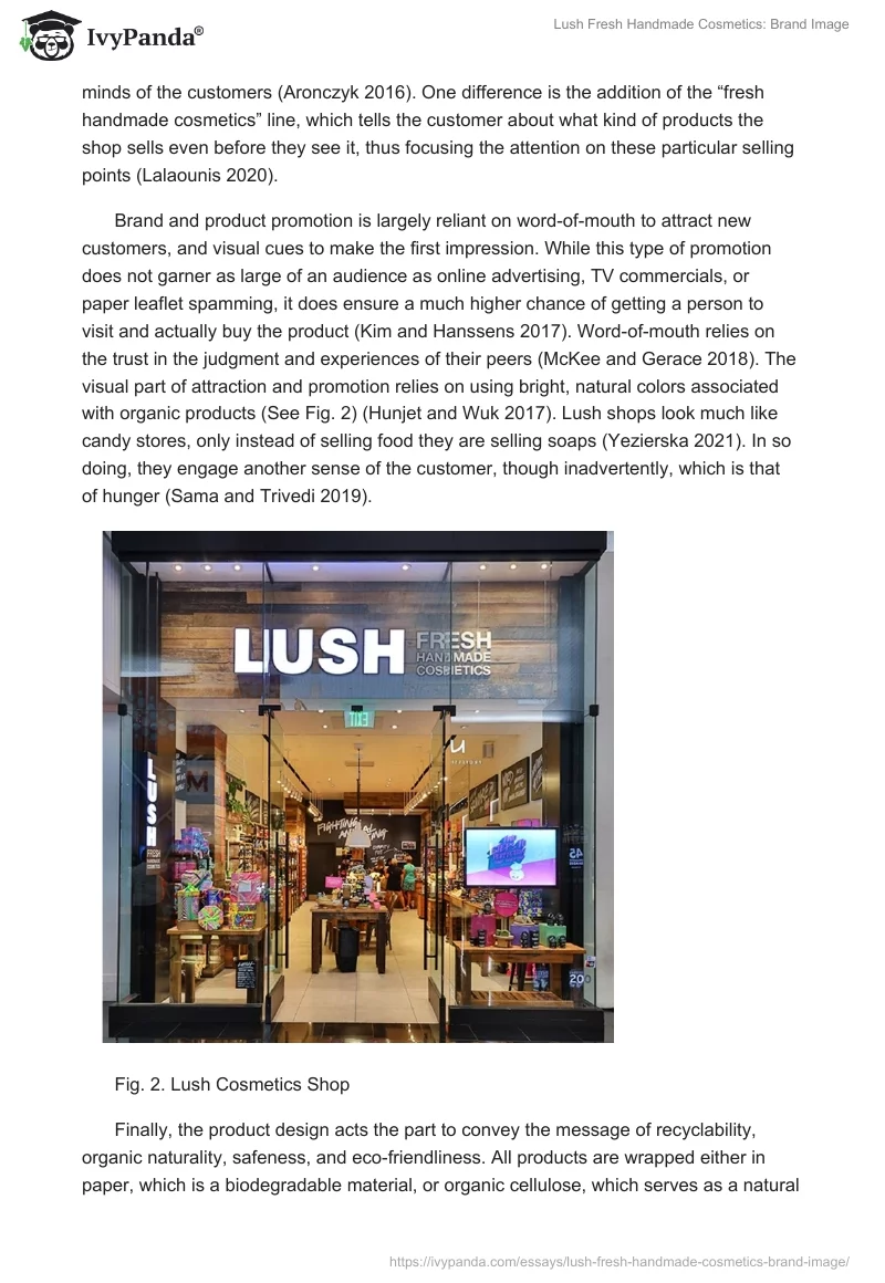 Lush Fresh Handmade Cosmetics: Brand Image. Page 3