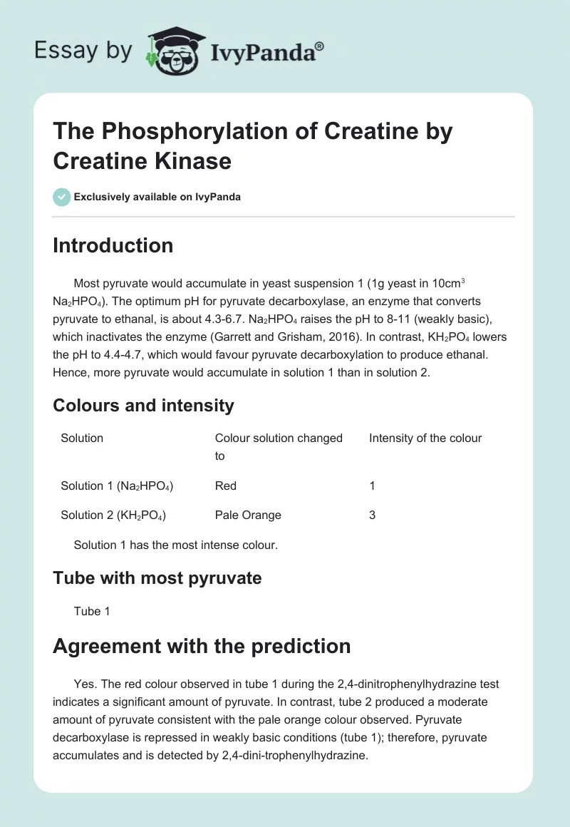 The Phosphorylation of Creatine by Creatine Kinase. Page 1