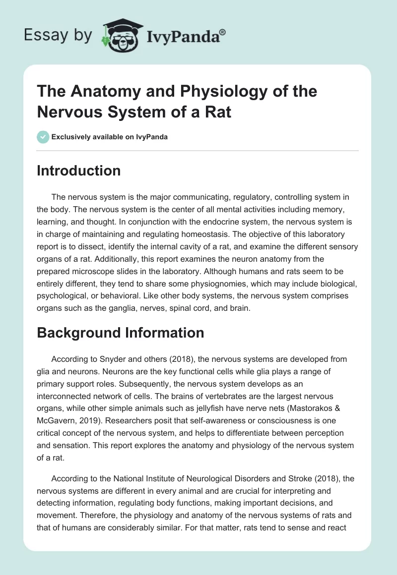 The Anatomy and Physiology of the Nervous System of a Rat. Page 1