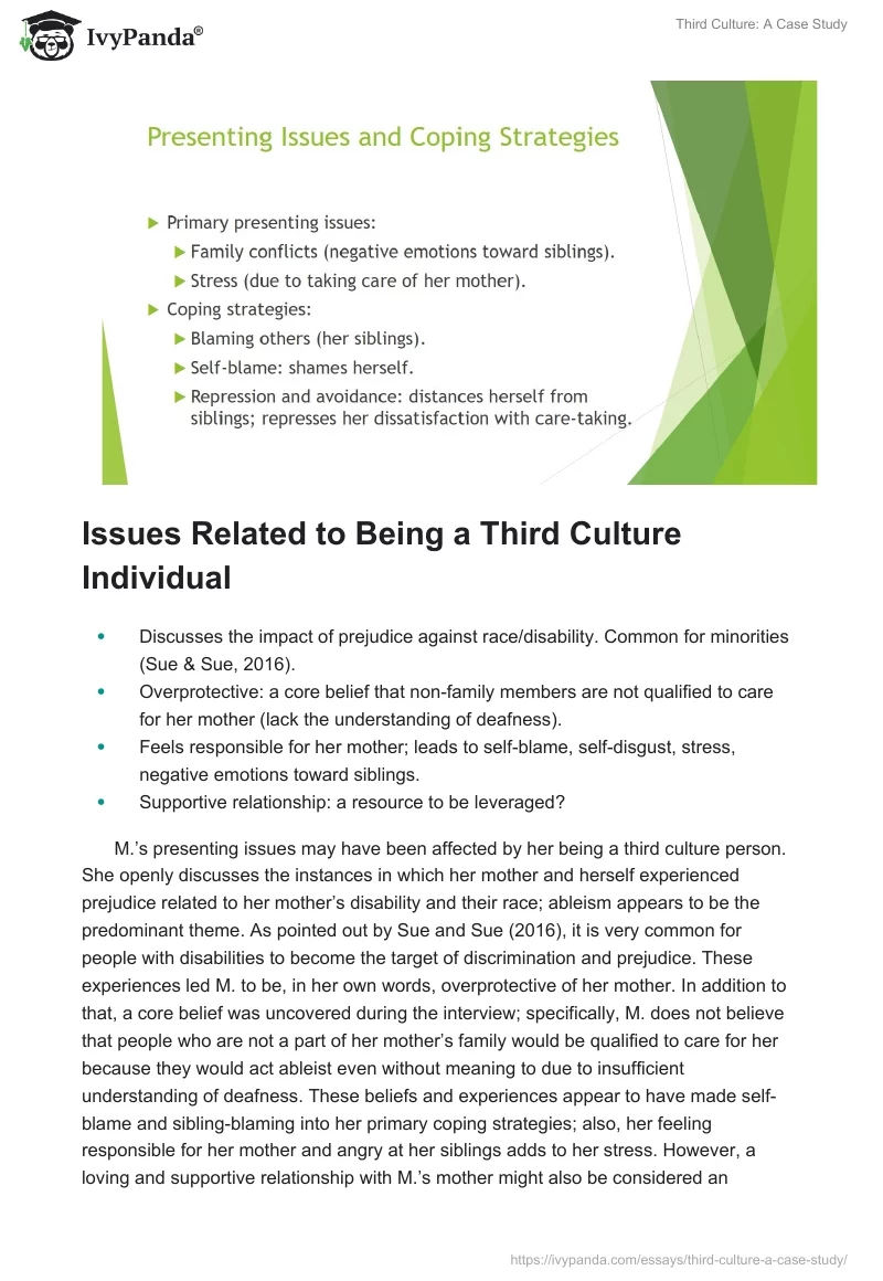 Third Culture: A Case Study. Page 5