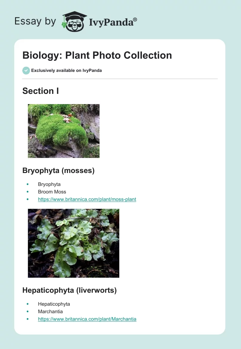 Biology: Plant Photo Collection. Page 1