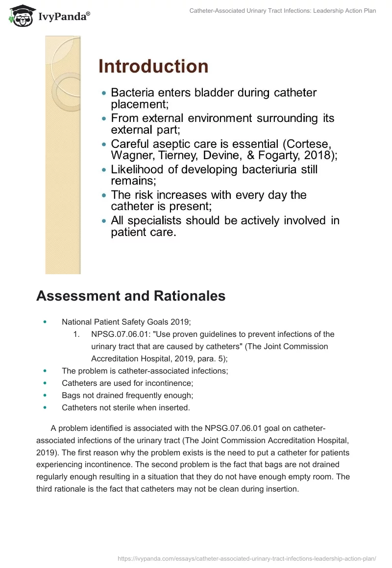 Catheter-Associated Urinary Tract Infections: Leadership Action Plan. Page 2